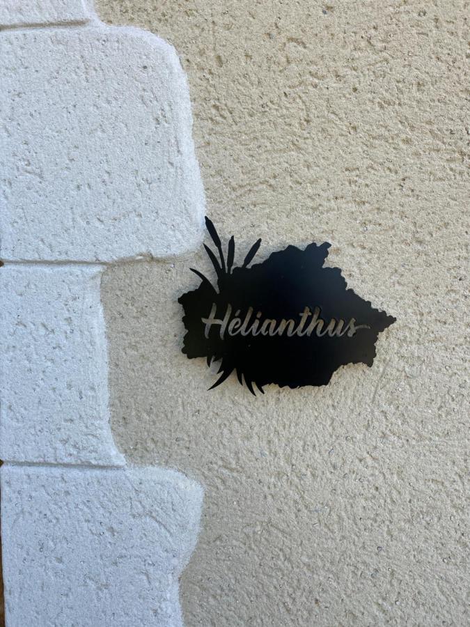 Chez Brunet Chambres D'Hotes Et Gite Lagraulet-du-Gers エクステリア 写真